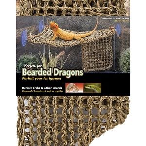 Lizard/gecko hammock